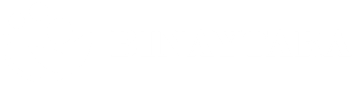 Binaytara Foundation Logo